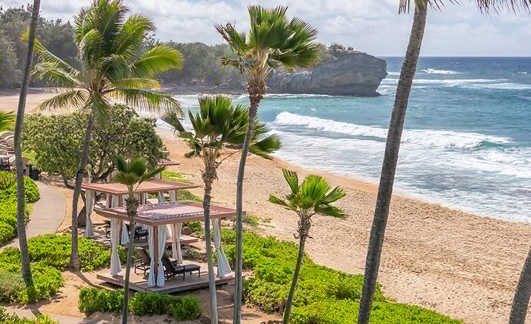 Two curtained gazebos on a beach beneath palm trees amid sea grapes