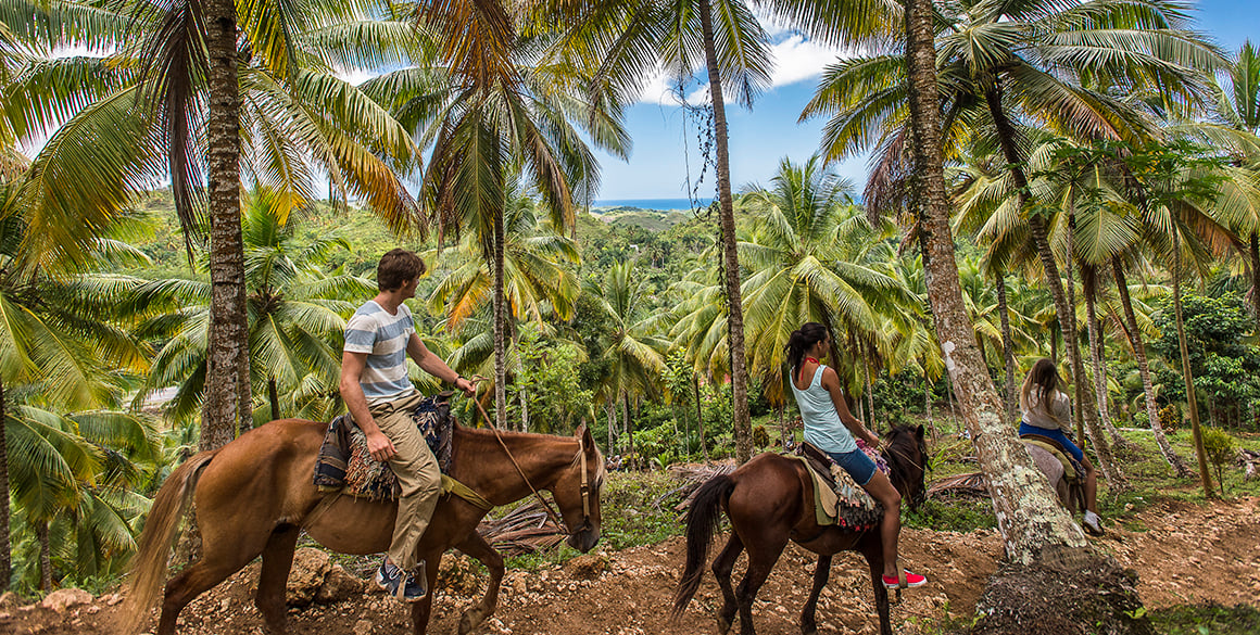 A man and woman riding horses on an elevated trail with palm trees