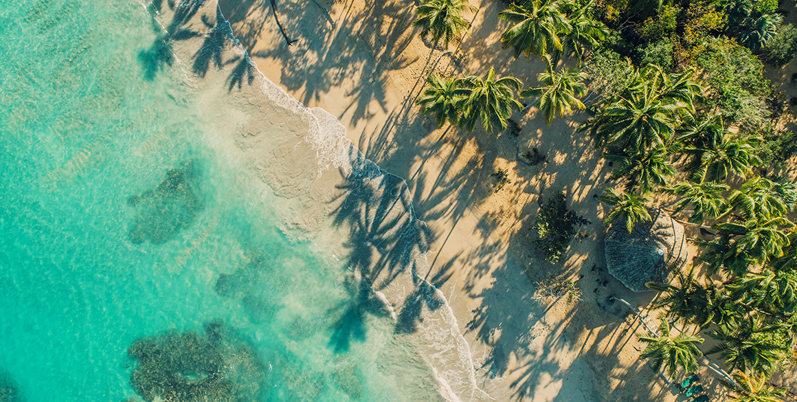 An aerial view of turquoise water and golden sand with the silhouette of palm trees across both.