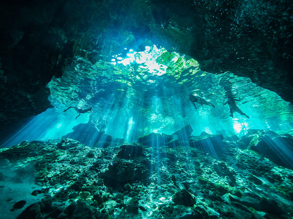 Underwater view of people snorkeling by a reef