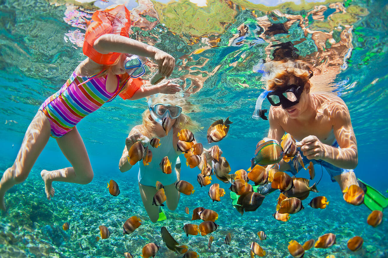 Three people snorkeling with a school of fish