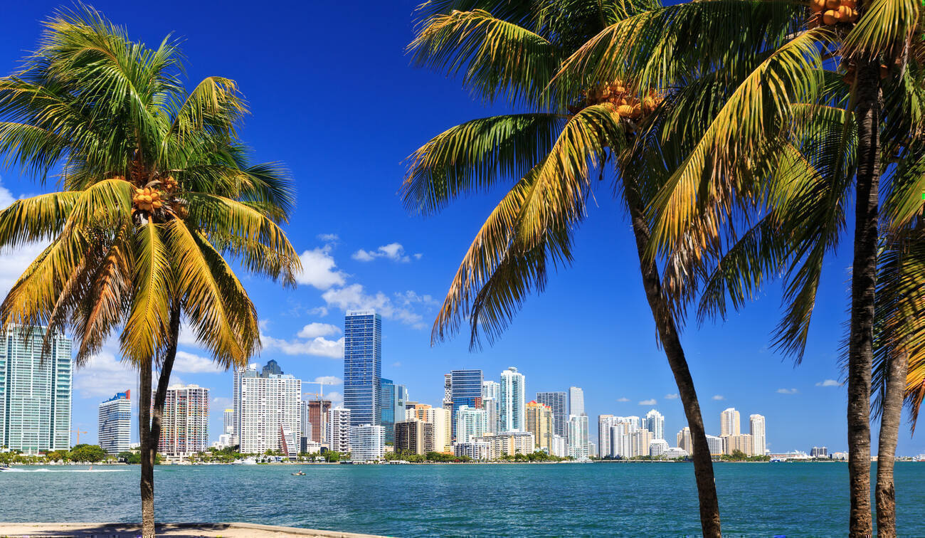 View of water and Miami Florida city line