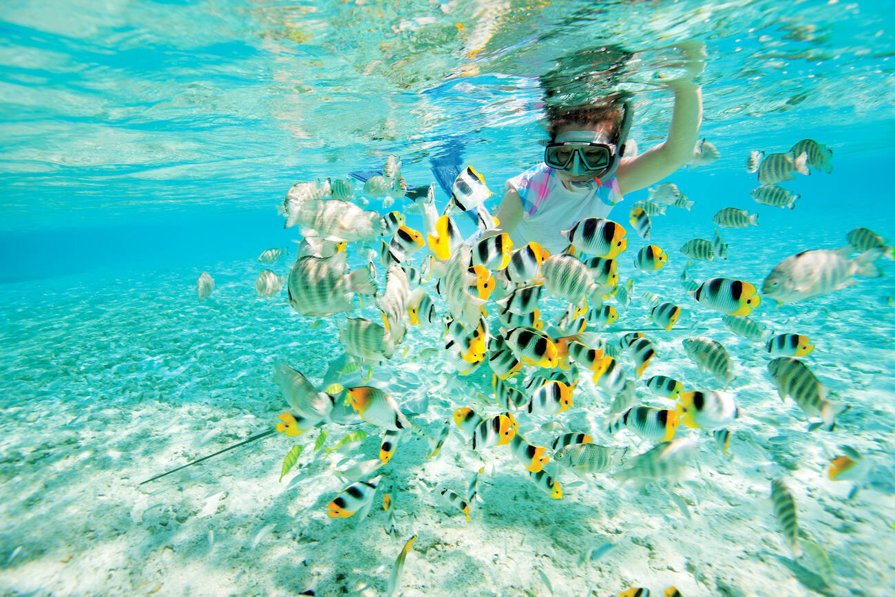 Woman snorkeling in clear tropical waters among colorful fish