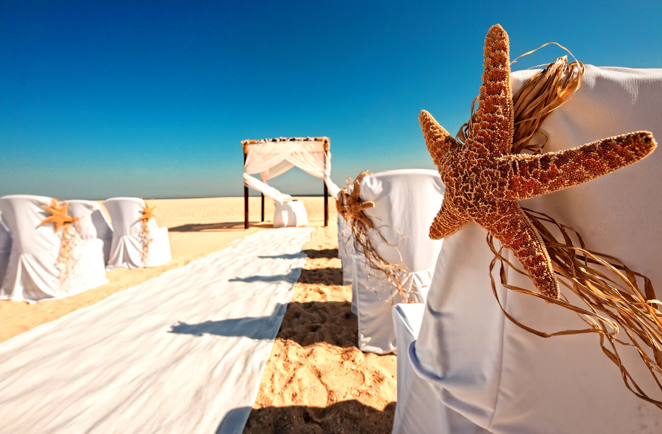 Starfish on the back of chairs at a beach wedding