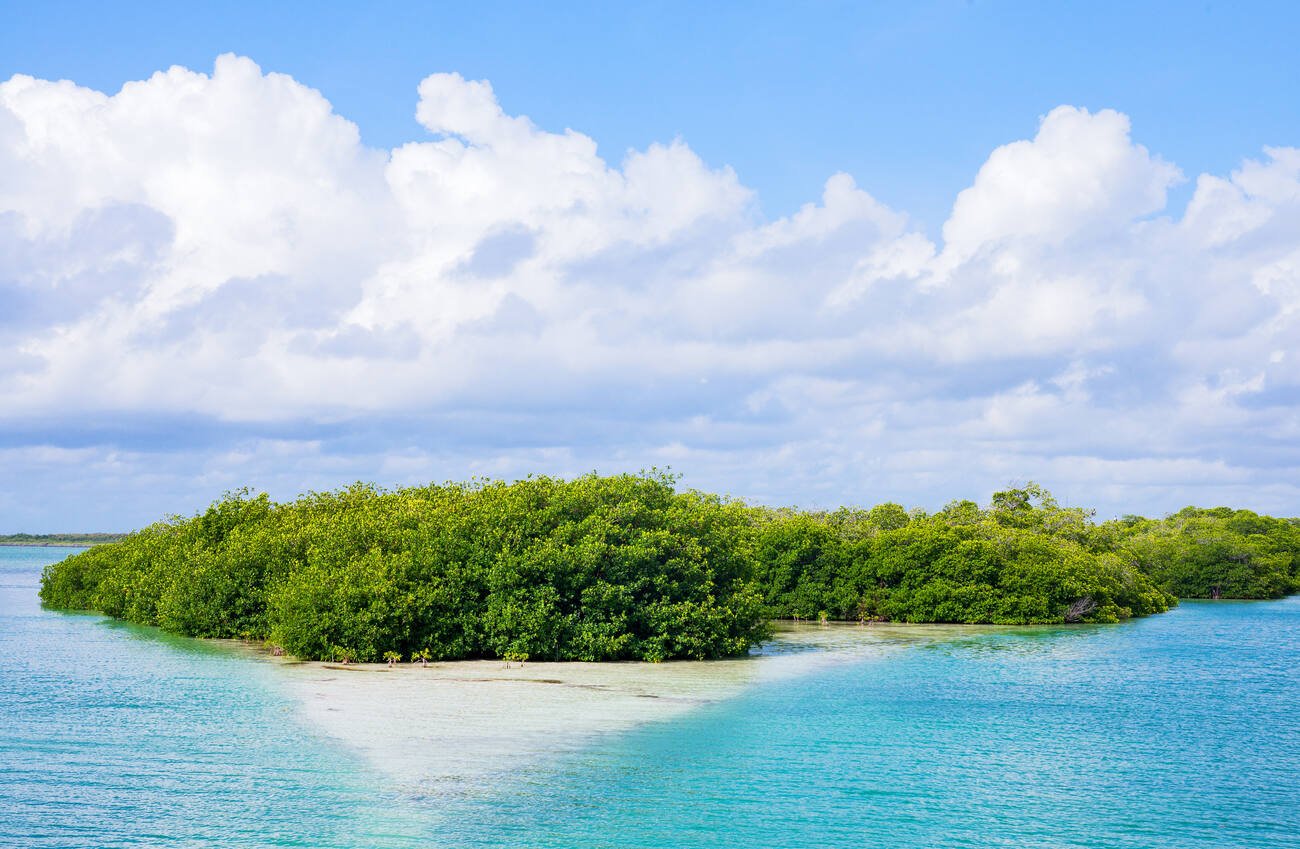 Forested island in Sian Ka'an