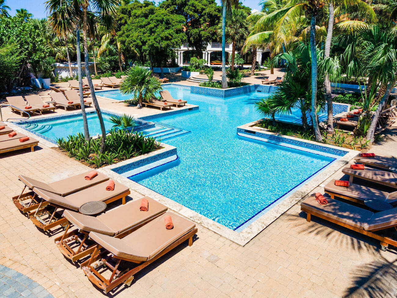 Pool surrounded by palm trees