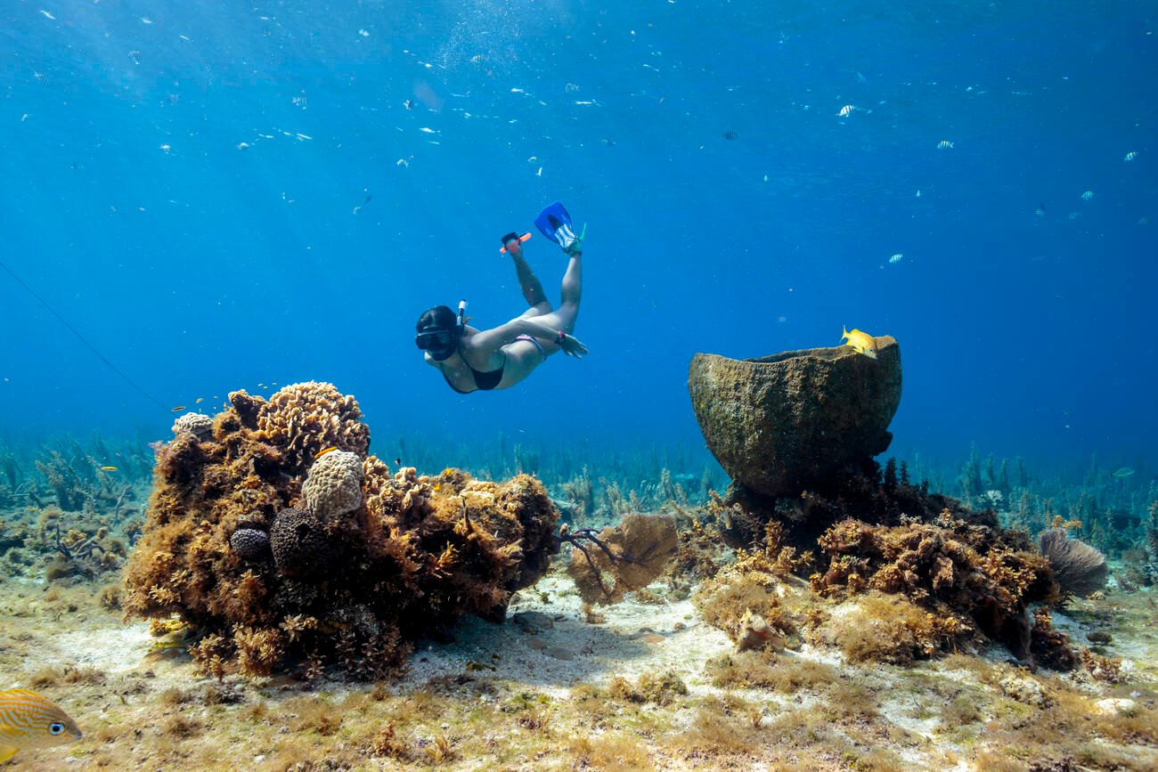 Woman in the water snorkeling 