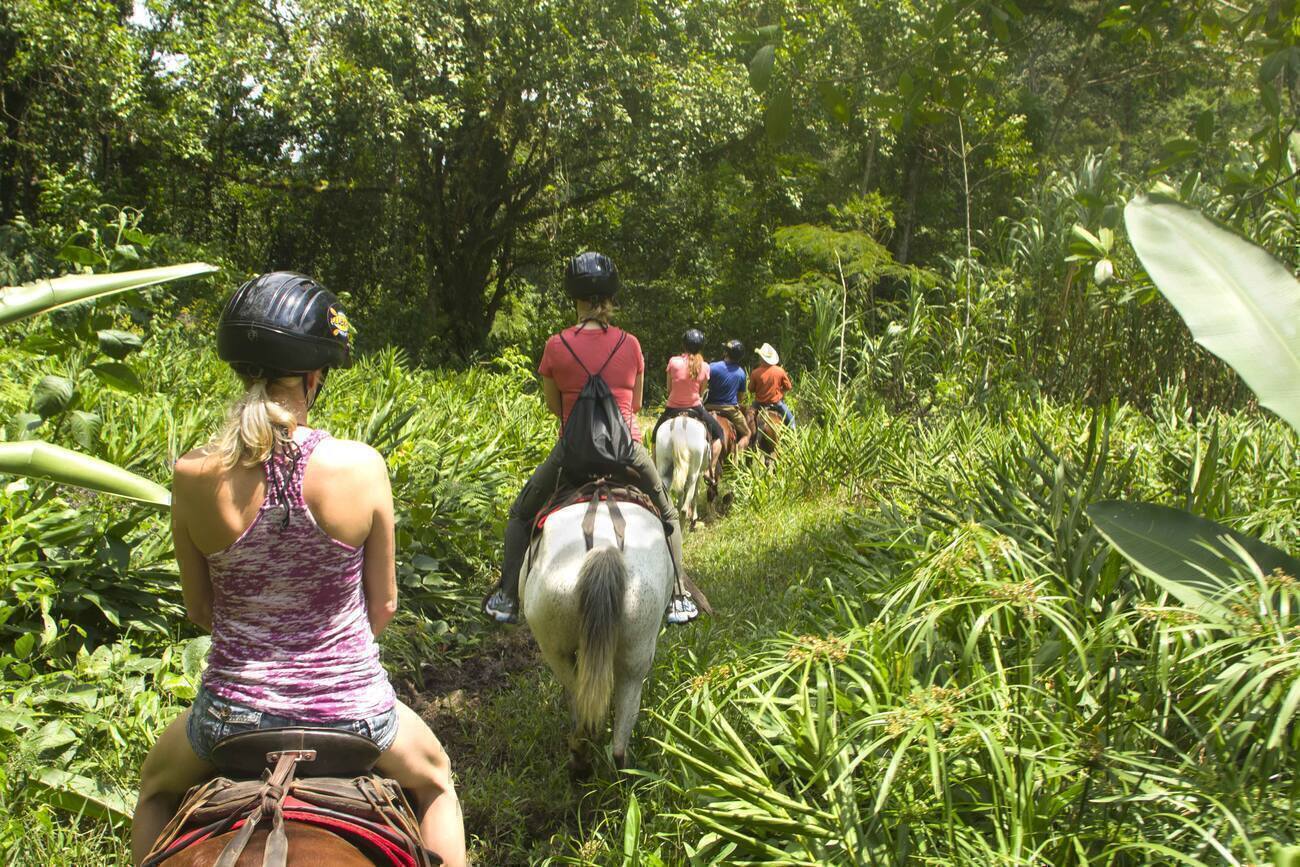 Group horseback riding on a trail