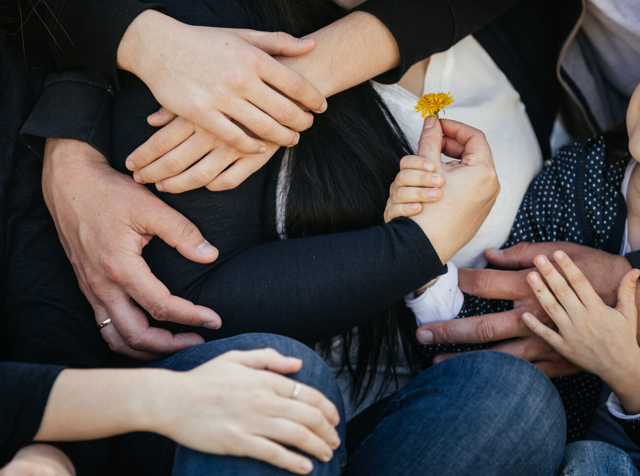 Hands holding each other with a single flower