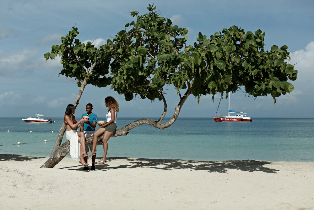 A waiter handing coconut drinks to two women sitting in a tree on the beach at Azul Beach Resort Negril, by Karisma.