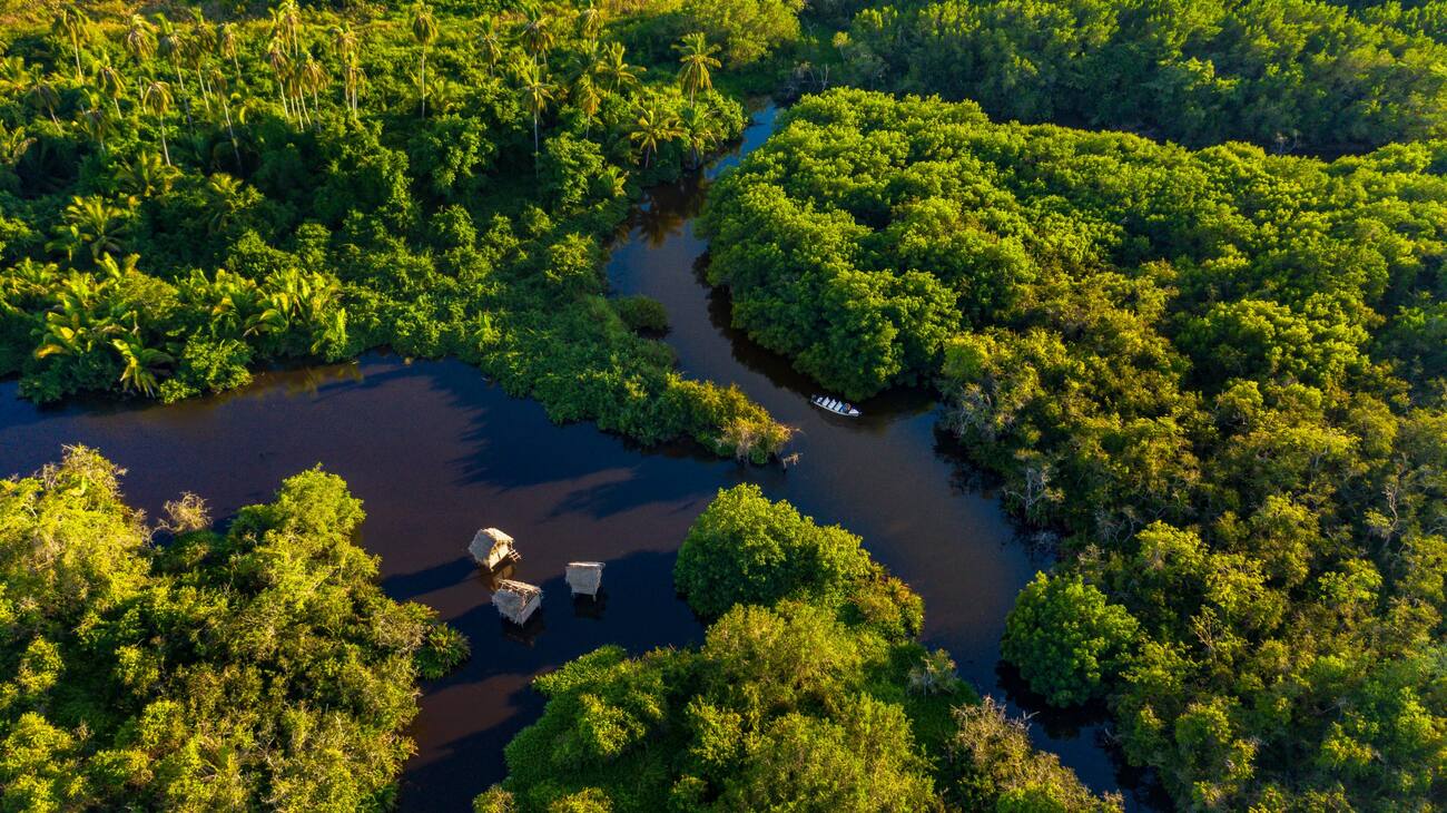 La Tovara National Park, San Blas